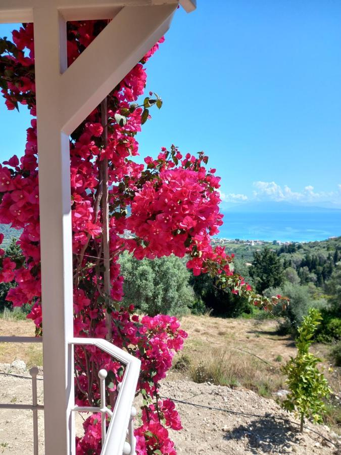 Vasiliki View Villa Ágios Pétros Kültér fotó