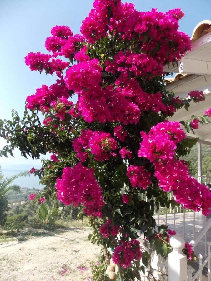 Vasiliki View Villa Ágios Pétros Kültér fotó